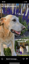 Review by Karey P.
