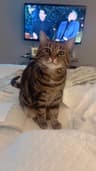 Review by Viviana S.