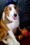 Review by Connie H.