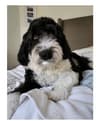 Review by Courtney G.