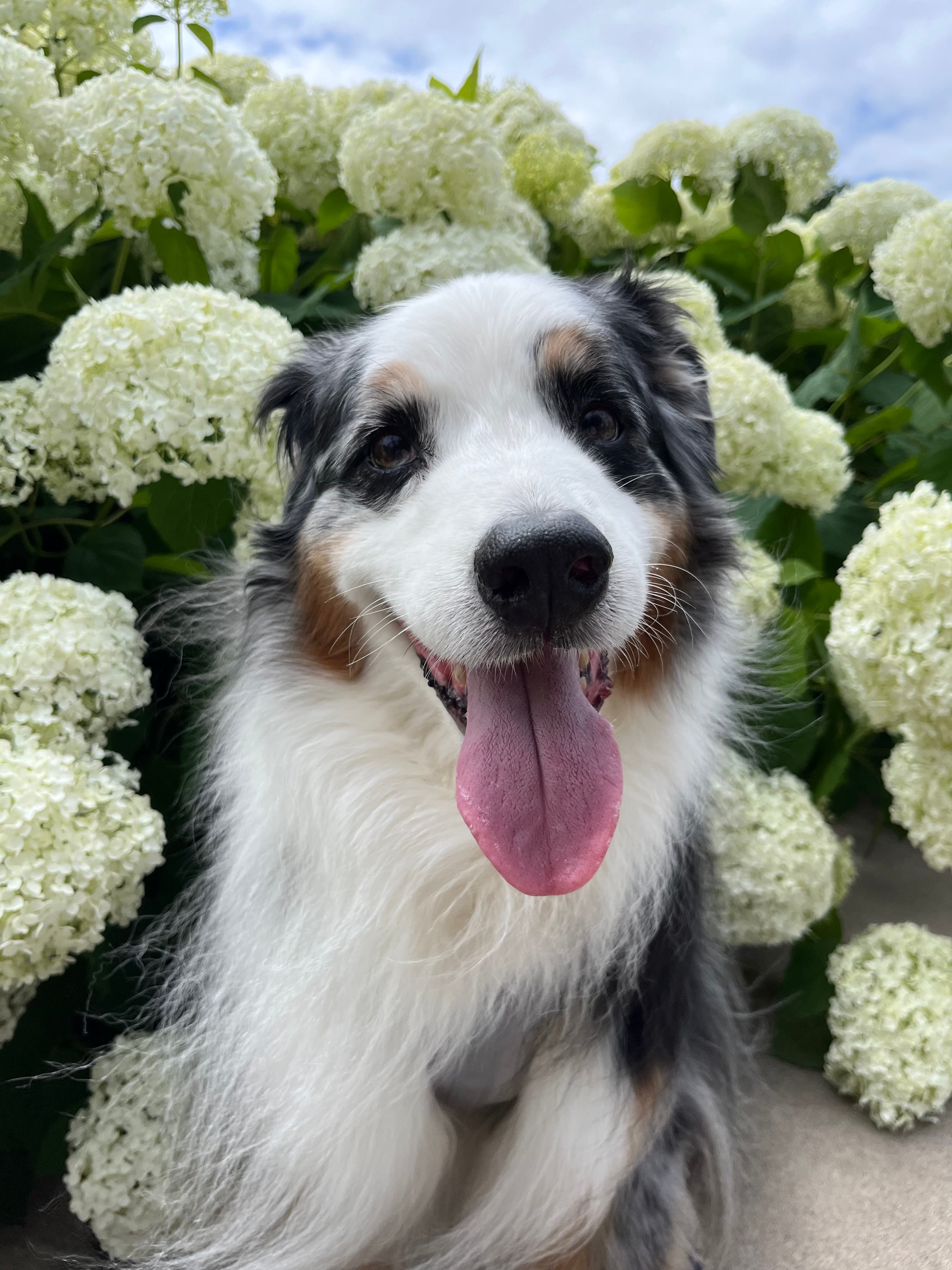 Memorial photo of Evey