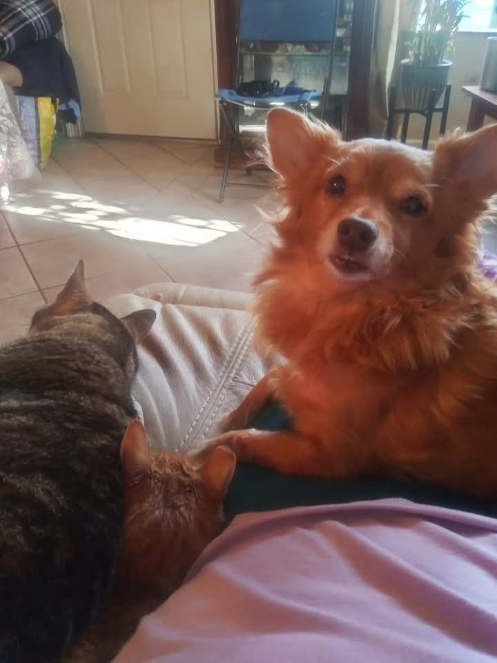 Review by Melinda B.
