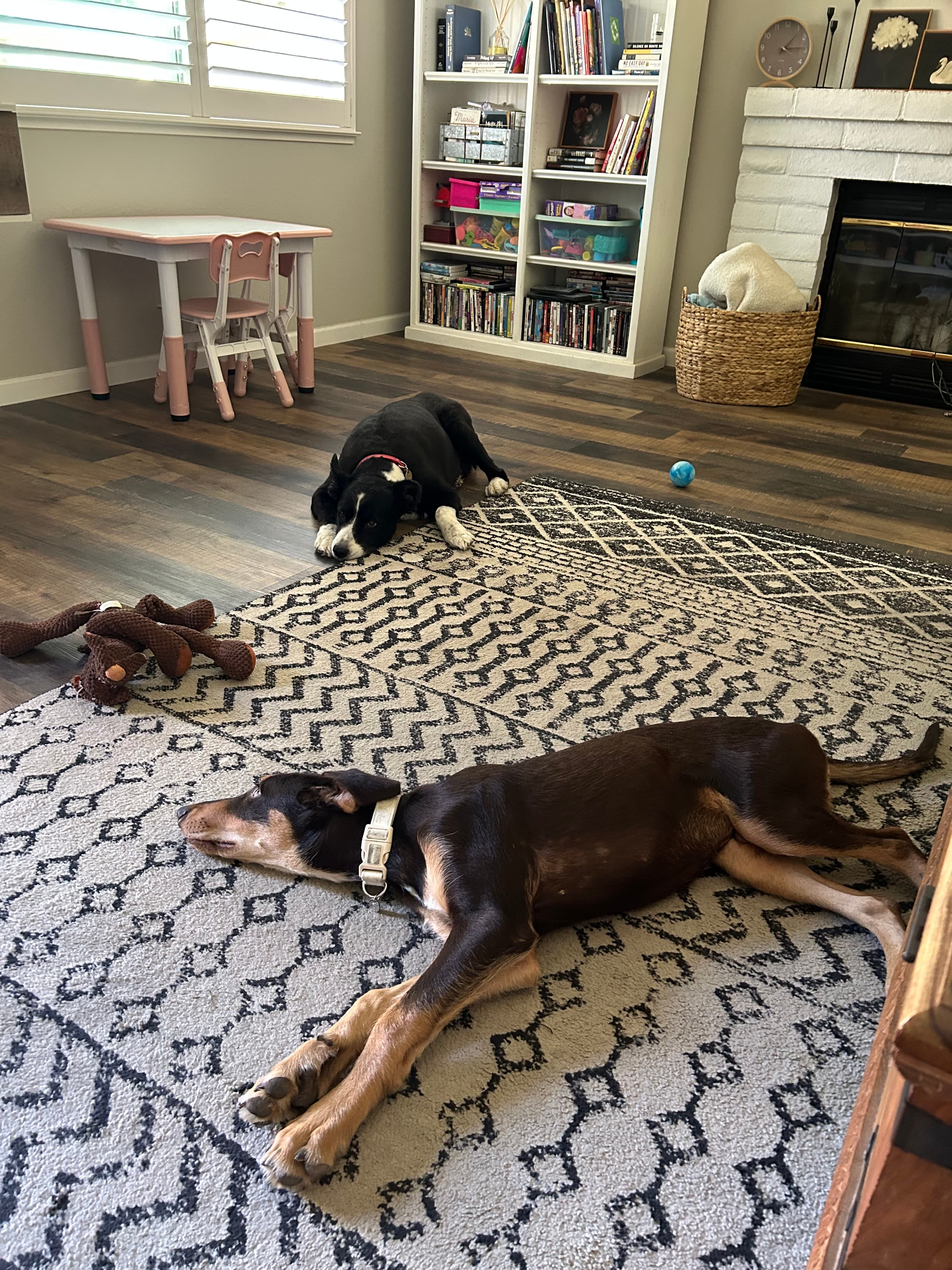 Review by Mark R.