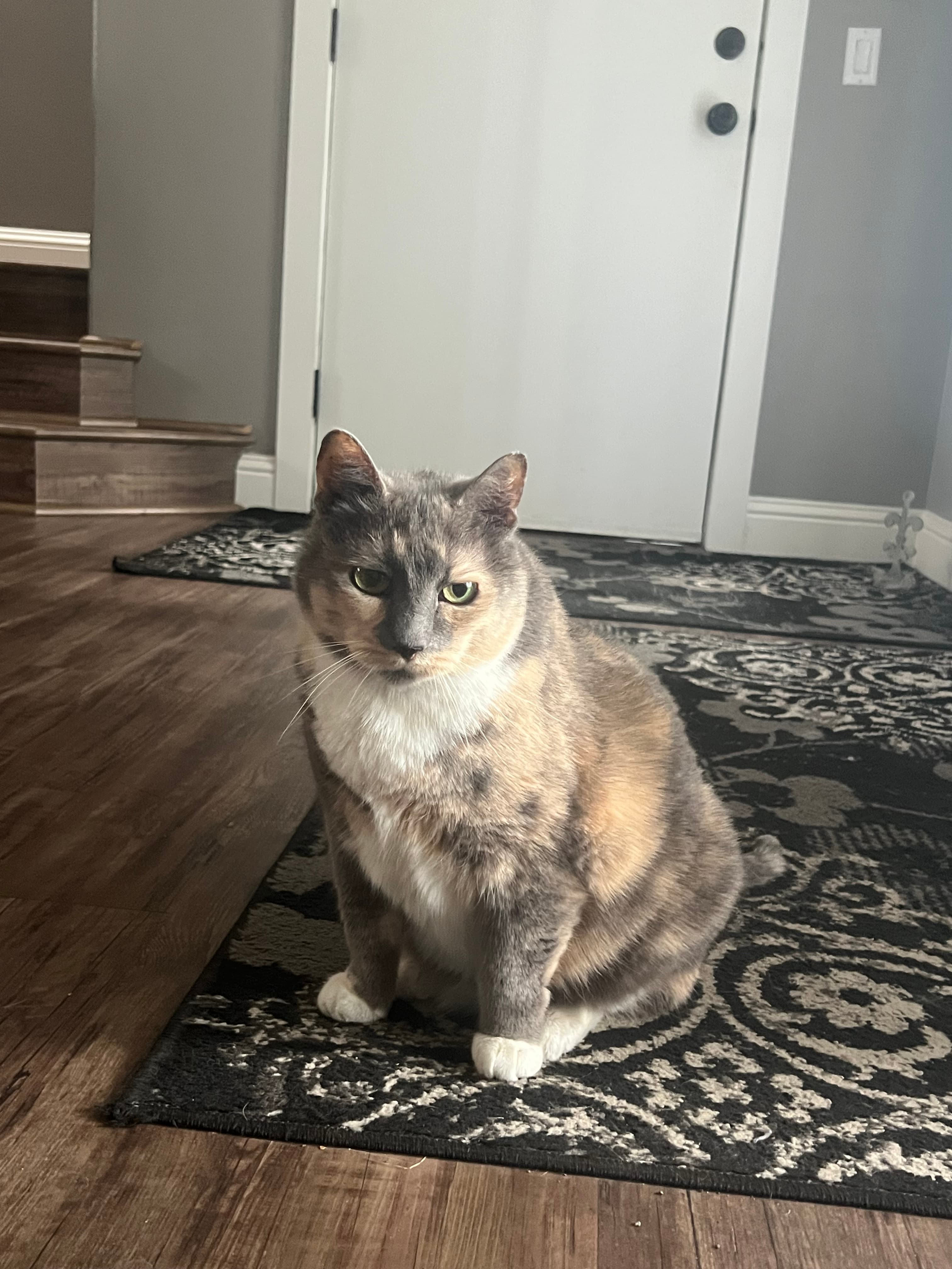 Memorial photo of Honey