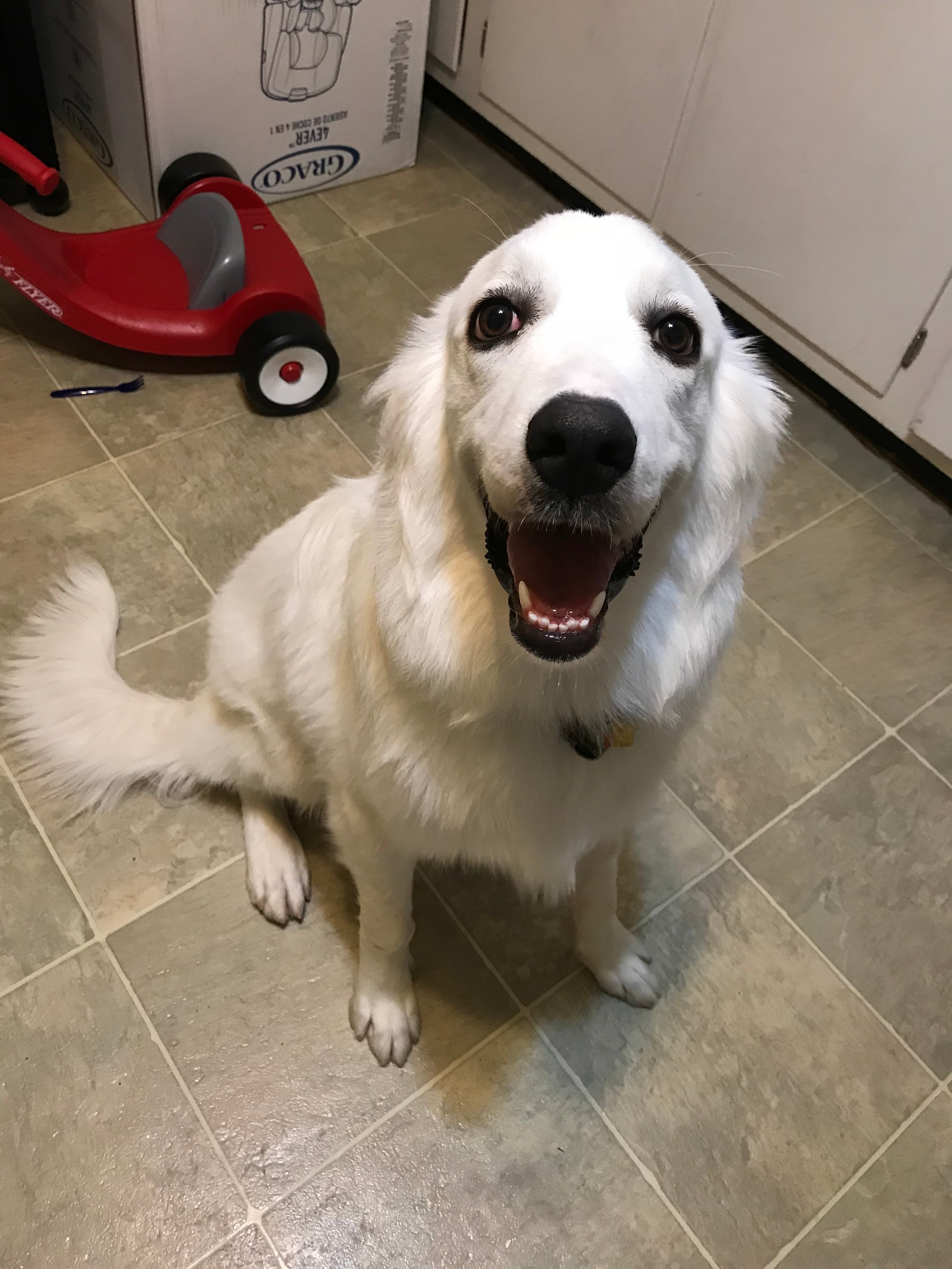 Memorial photo of Pearl
