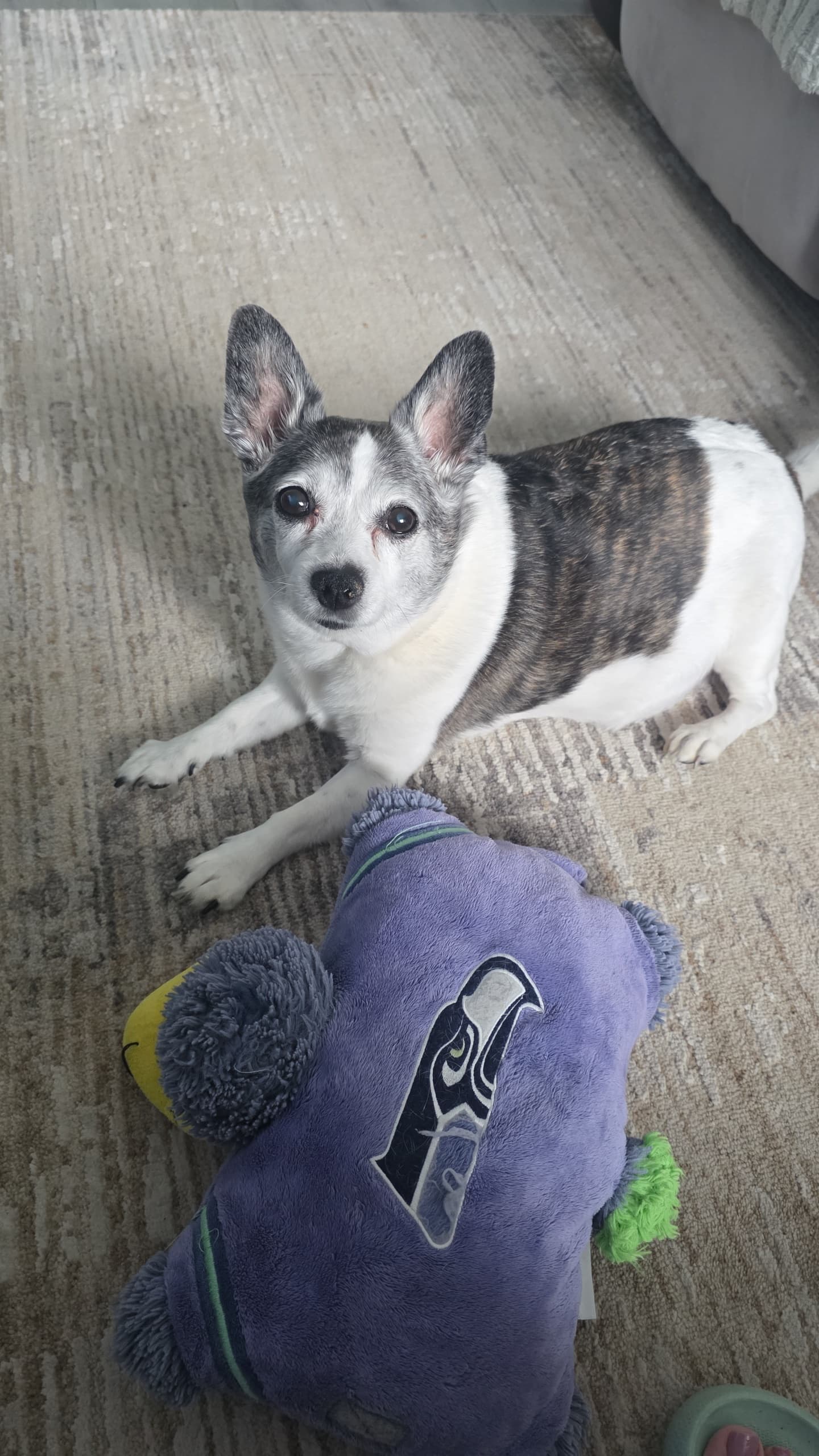Memorial photo of Leila