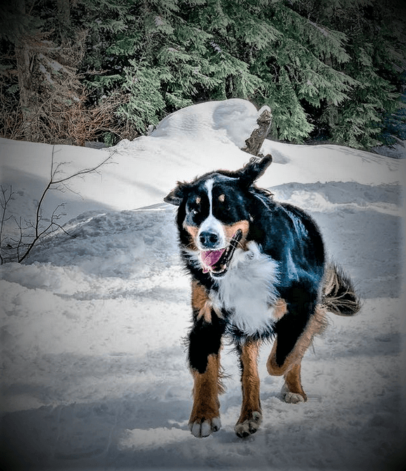 Review by Laurie P.