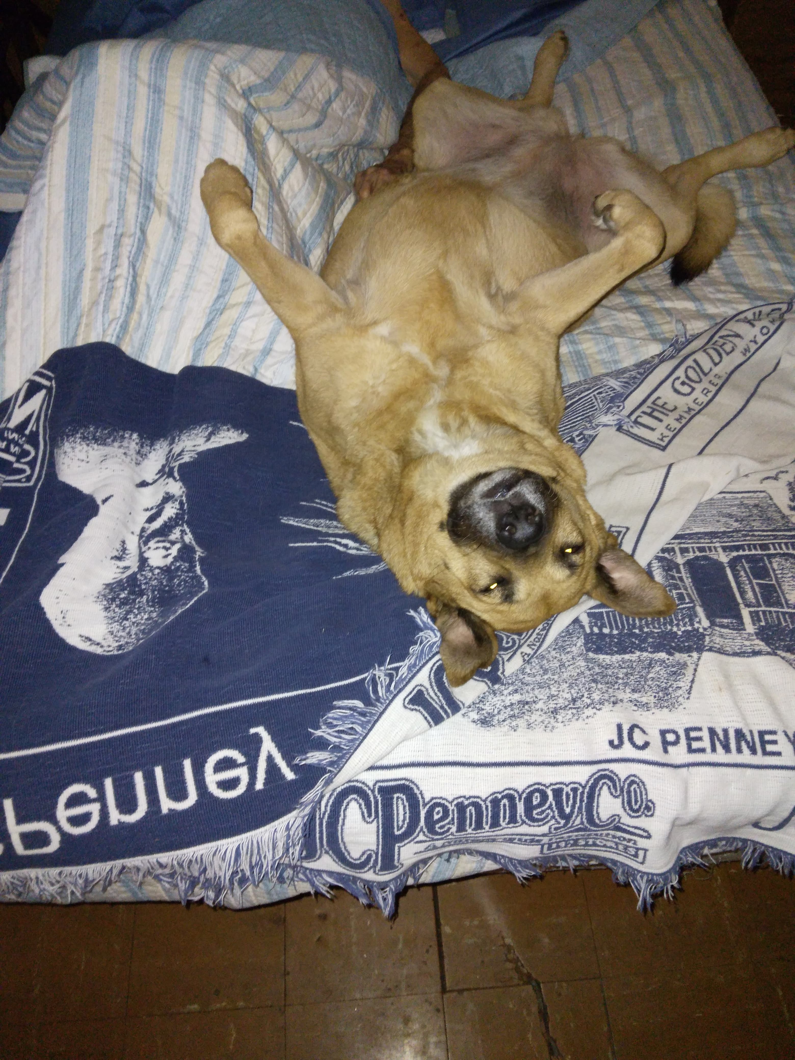 Memorial photo of Princess