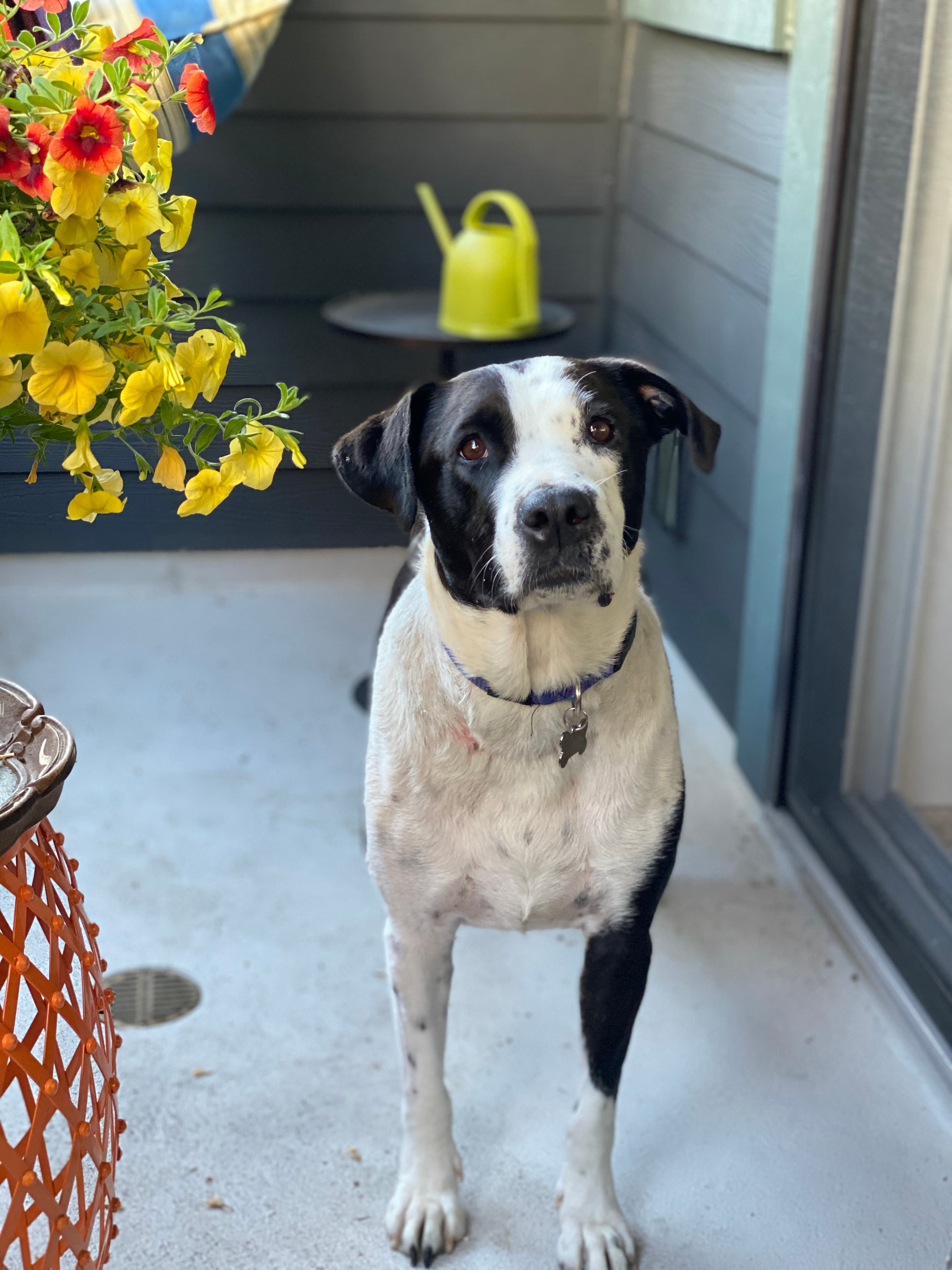 Memorial photo of Violet