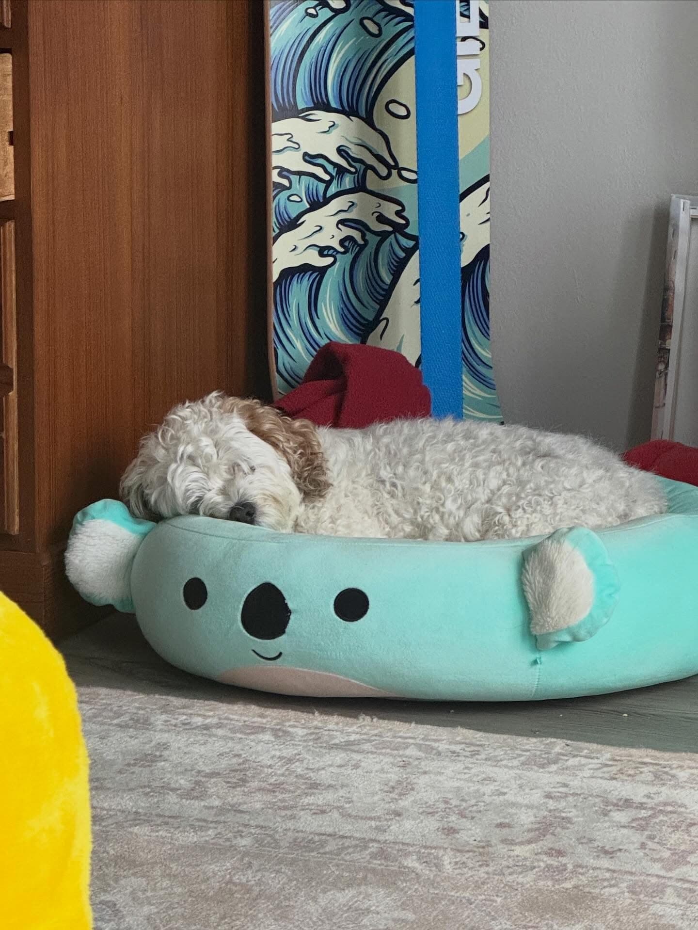 Memorial photo of Yoshi