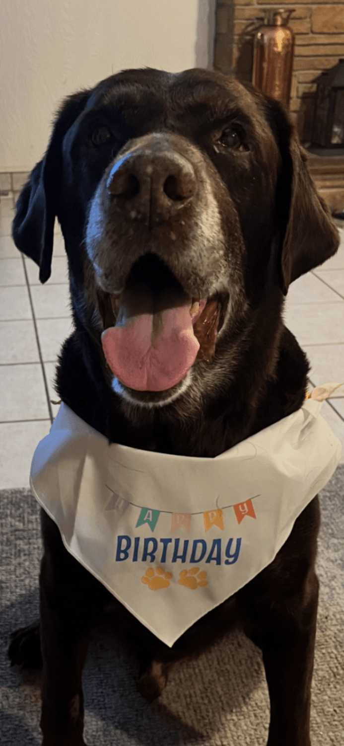 Memorial photo of Duke