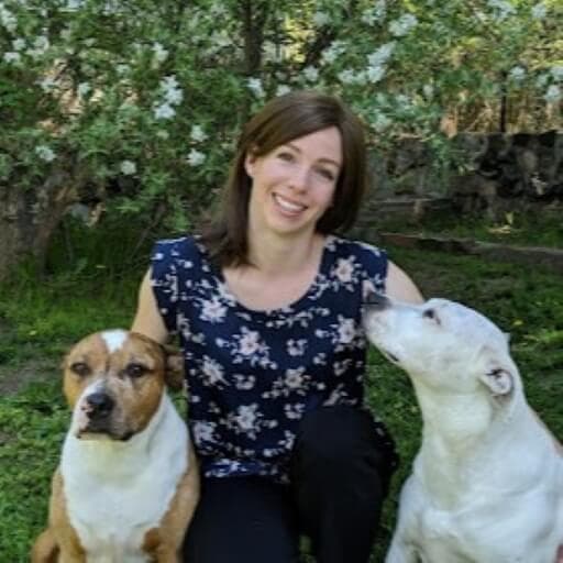 Photo of Dr. Kelly Collins