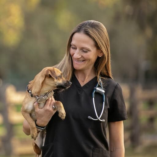 Photo of Dr. Lauren Ayala