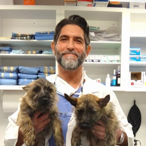 Photo of Dr. Steven Silberman