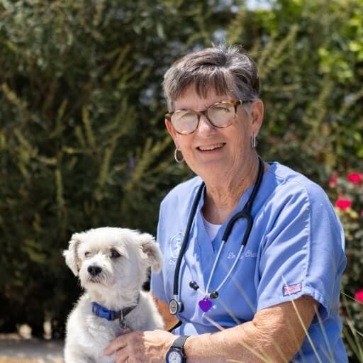Photo of Dr. Susie Chandler