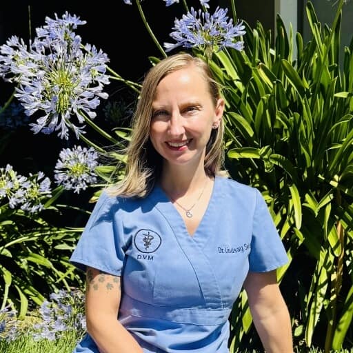 Dr. Lindsay Swirble