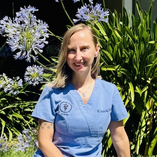 Photo of Dr. Lindsay Swirble