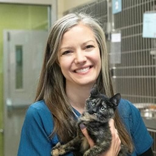 Photo of Dr. Courtney White