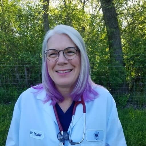Photo of Dr. Lisa Stadler